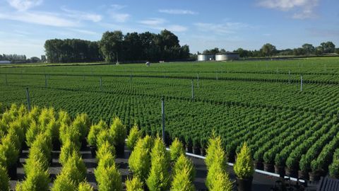 Des mesures de pesticides dans l’air, menées par l’Anses, n’ont pas révélé - à ce stade - de risque important pour la santé, a annoncé l’agence sanitaire, jeudi 2 juillet 2020. ©L. Hespel